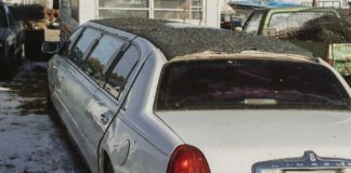 Reasons-Why-You-Should-Use-a-Prom-Limo-Rental-Service-on-contribution-space