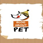 Delcela – The Ultimate Pet Product Blog For Animal Lovers