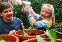 hydroponic grow kit
